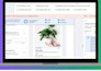 do google ads set up as a certified PPC campaign specialist